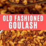Goulash on spoon