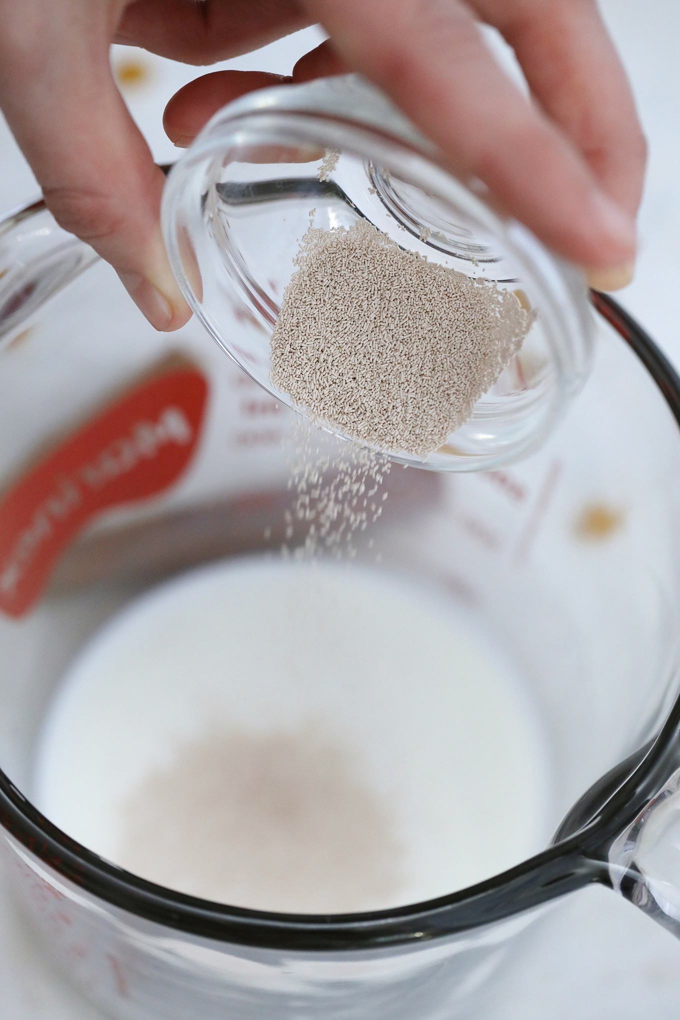 Yeast in measuring glass