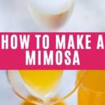Mimosa collage