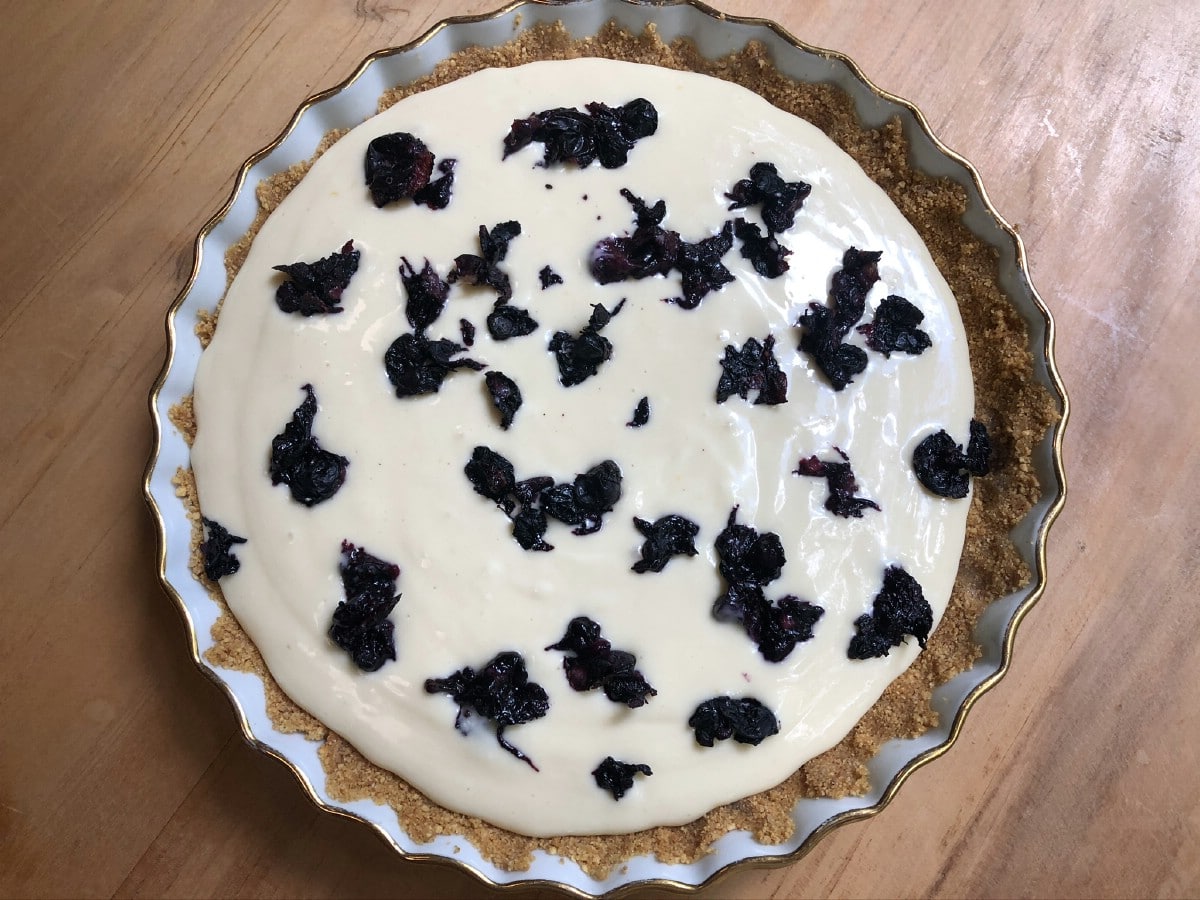 Adding blueberries to cheesecake