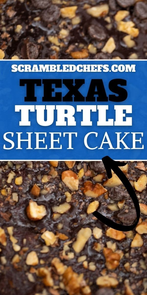 Texas Turtle sheet cake collage