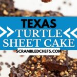 Texas Turtle sheet cake collage