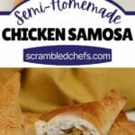 Chicken Samosa collage