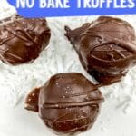 Chocolate coconut truffles on whiteplate
