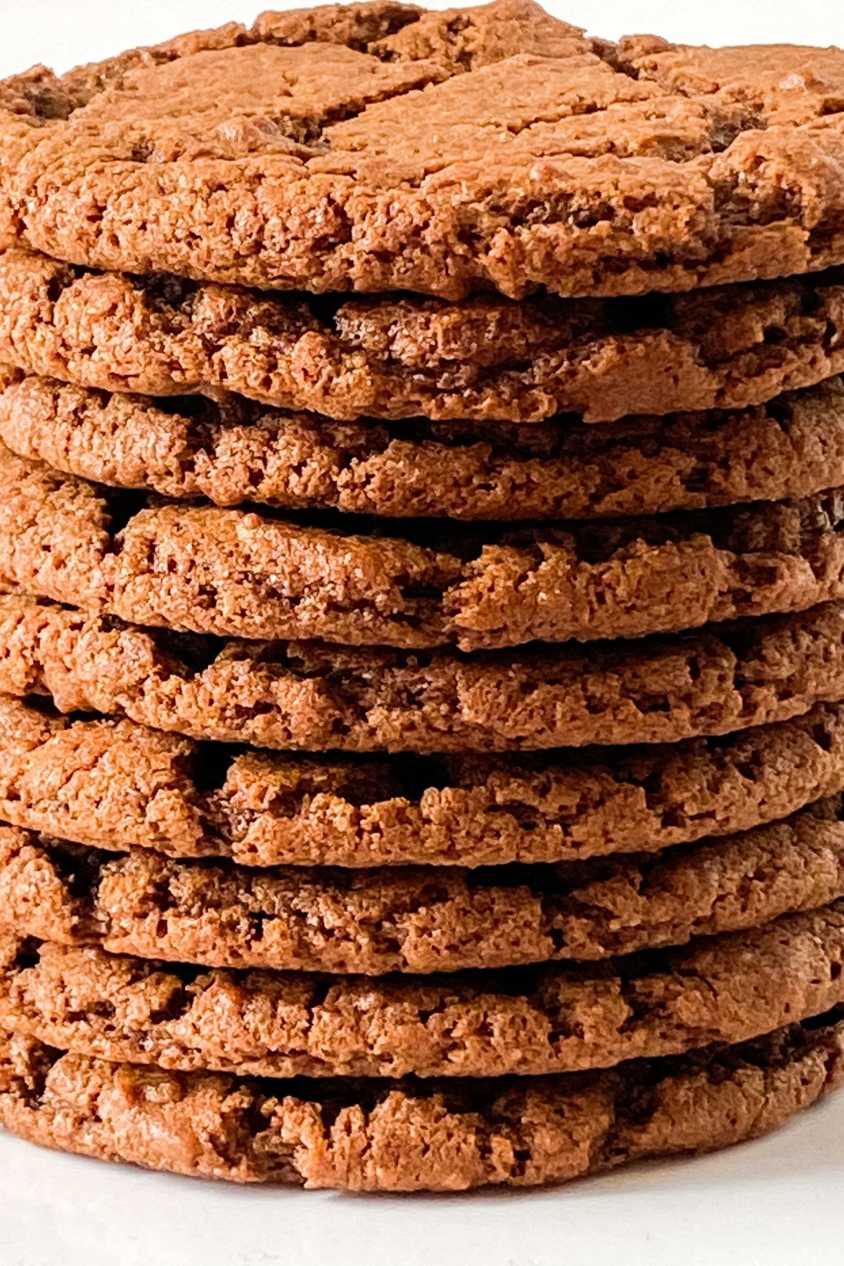 Stack of baked chocolate cookies