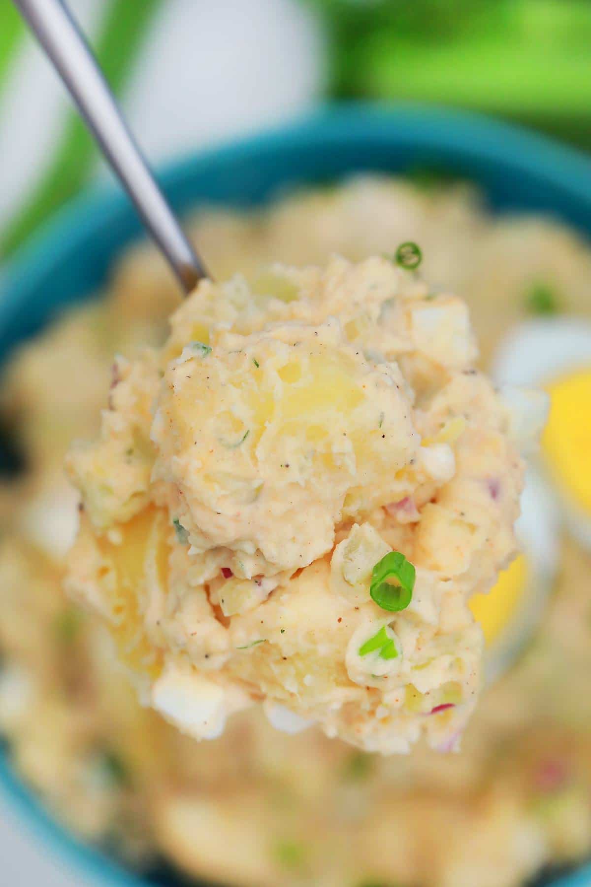 Spoon of potato salad