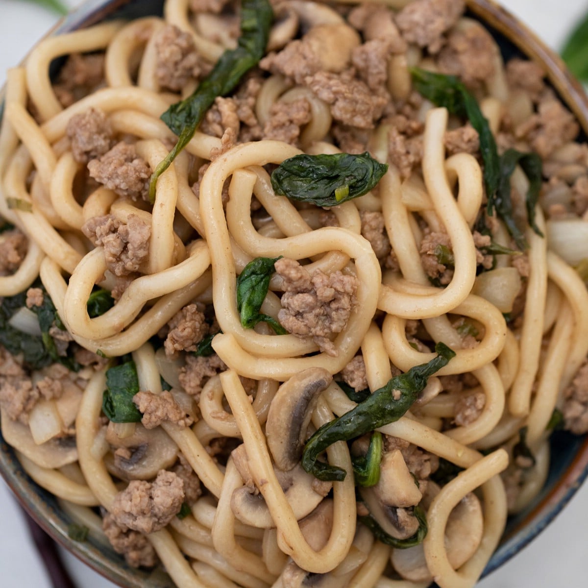 Bowl of udon noodles with ground beef