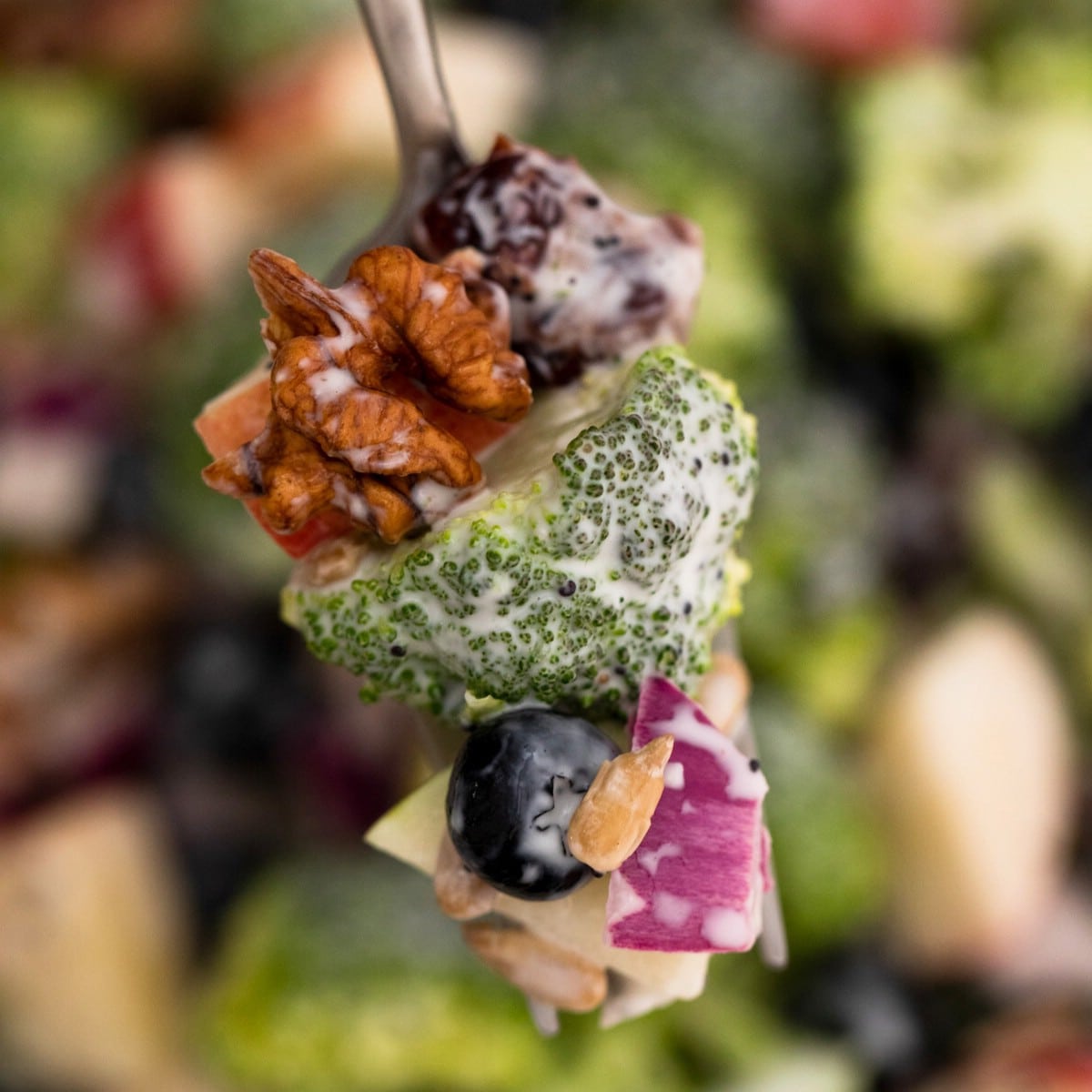 Fork with broccoli nuts and berries in dressing