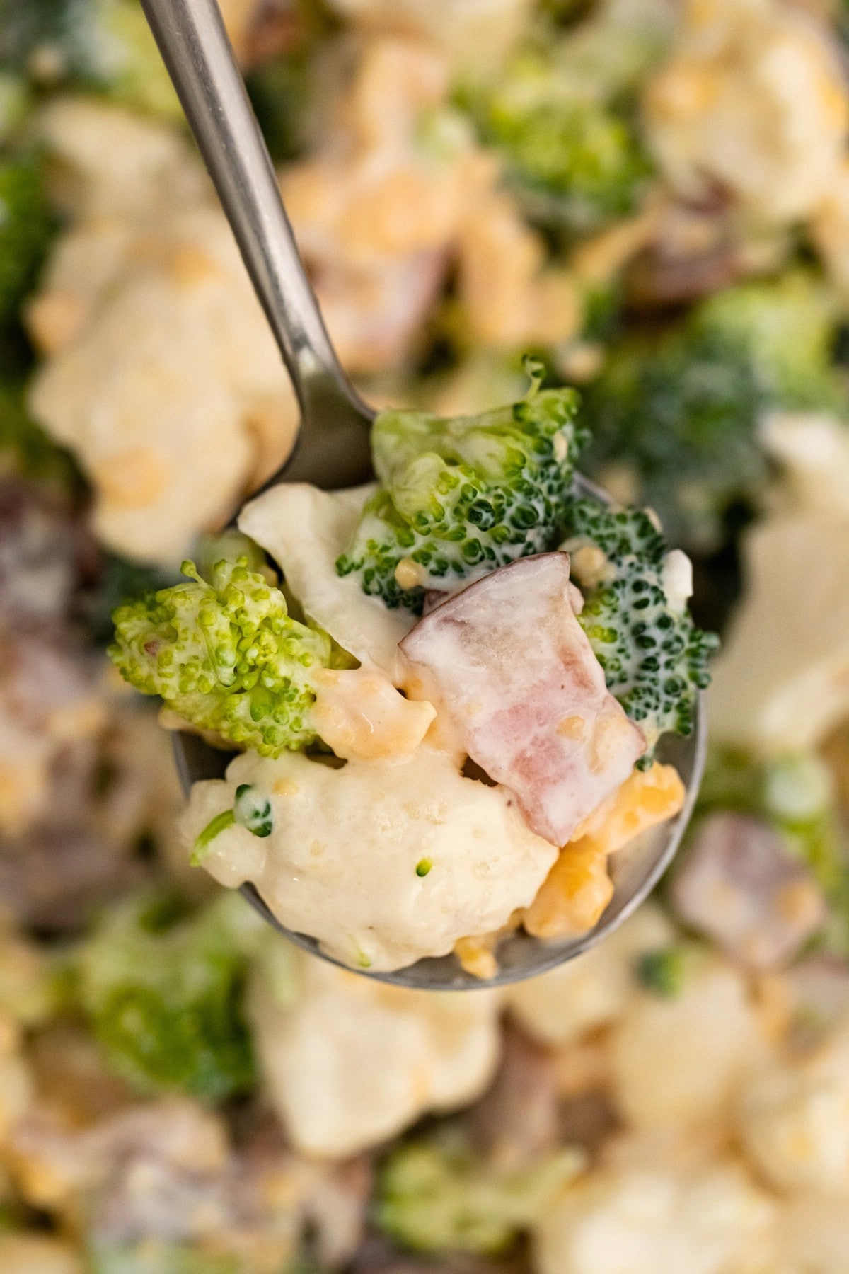 Spoon of broccoli cauliflower salad