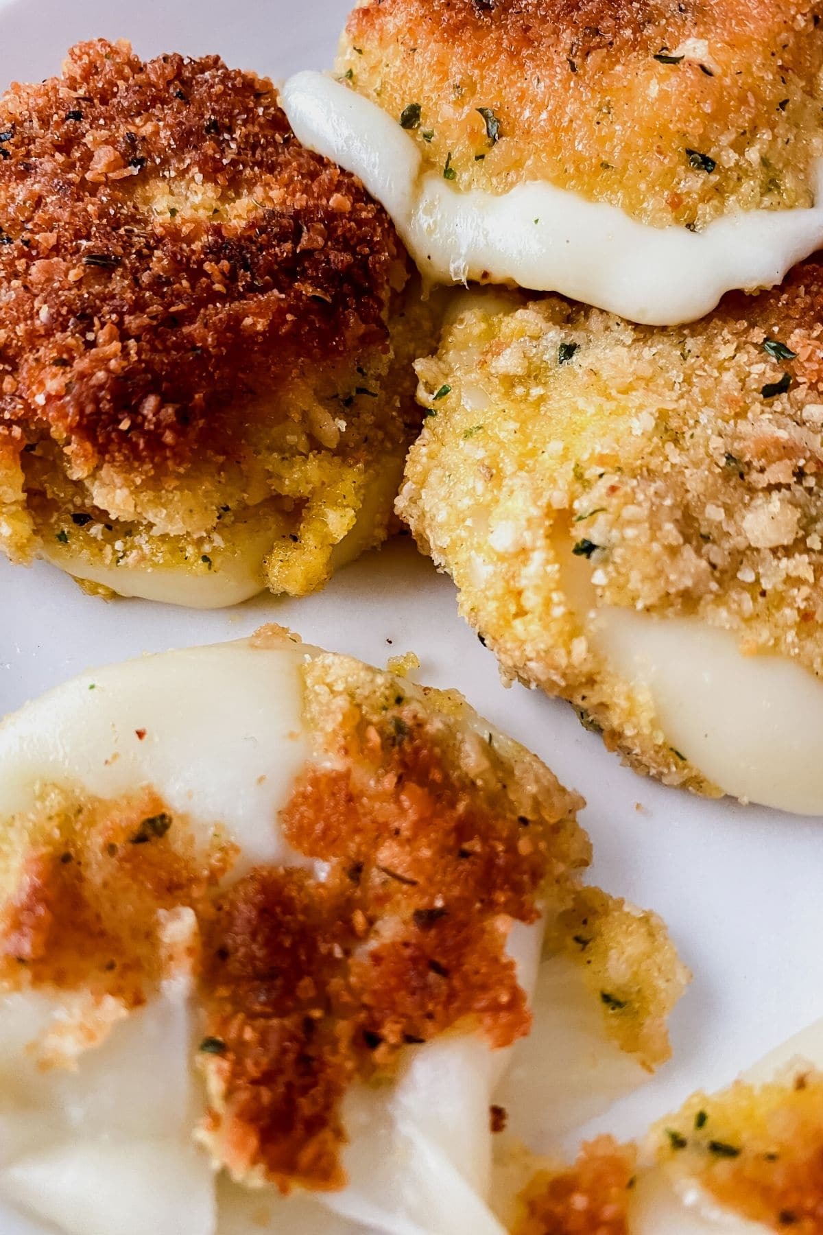 Cheese rounds covered in golden breadcrumbs
