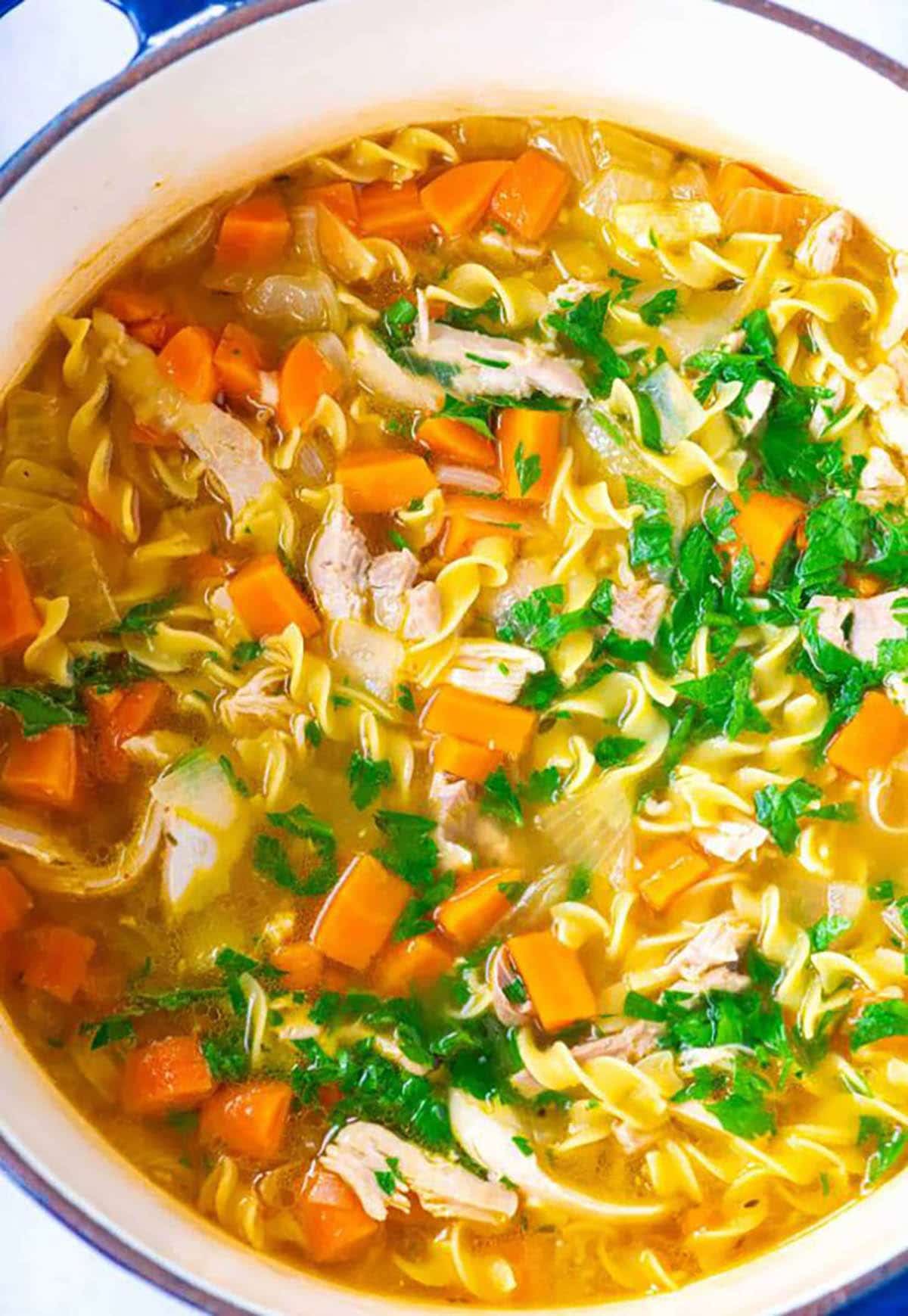 Chicken Noodle Soup topped with chopped parsley
