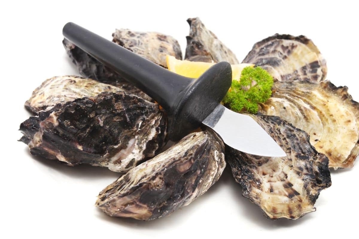 Oyster Knife on Top of Oysters and a Slice of Lemon