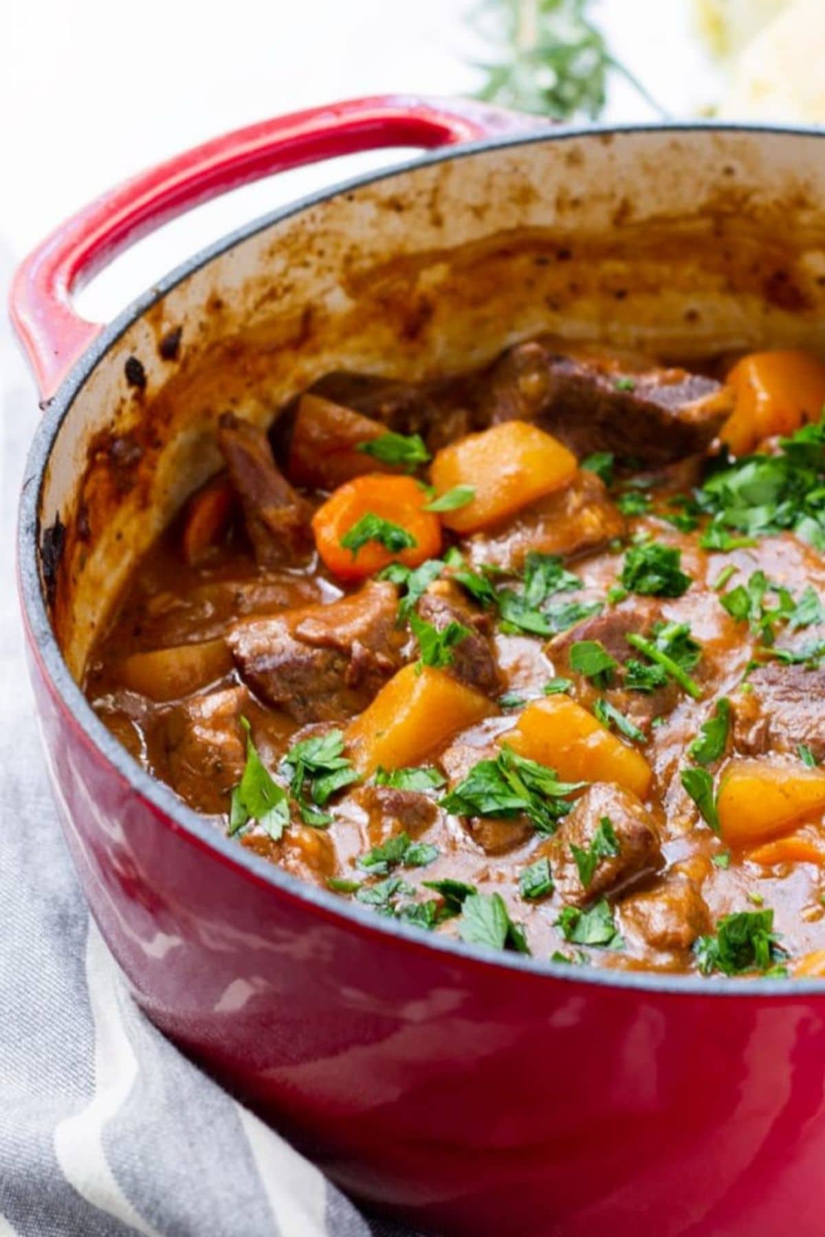 red dutch oven of beef stew