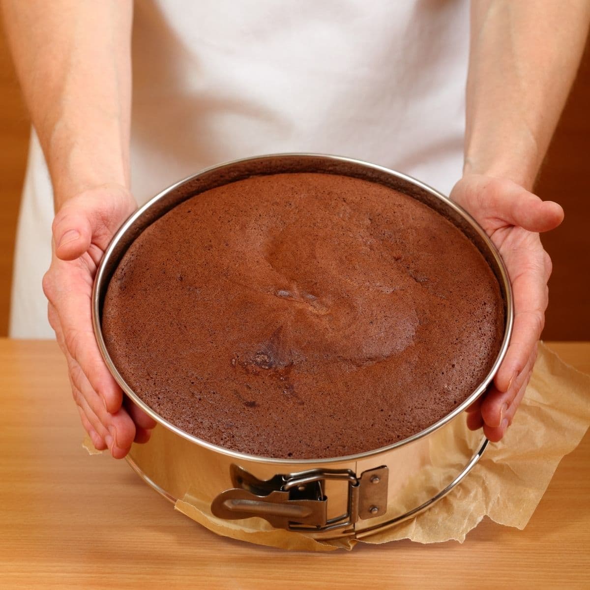 Lieonvis Square Springform Pan Rectangle Cake Pan Leakproof Cake
