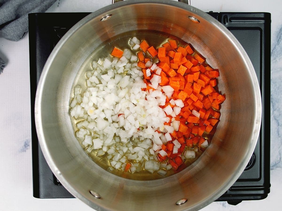 Stockpot with onions and carrots