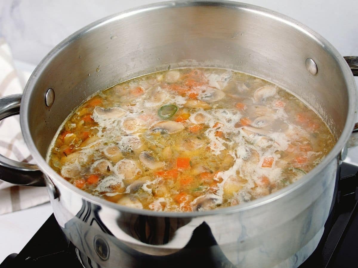 Silver stockpot of soup with vegetables and chicken on hot plate