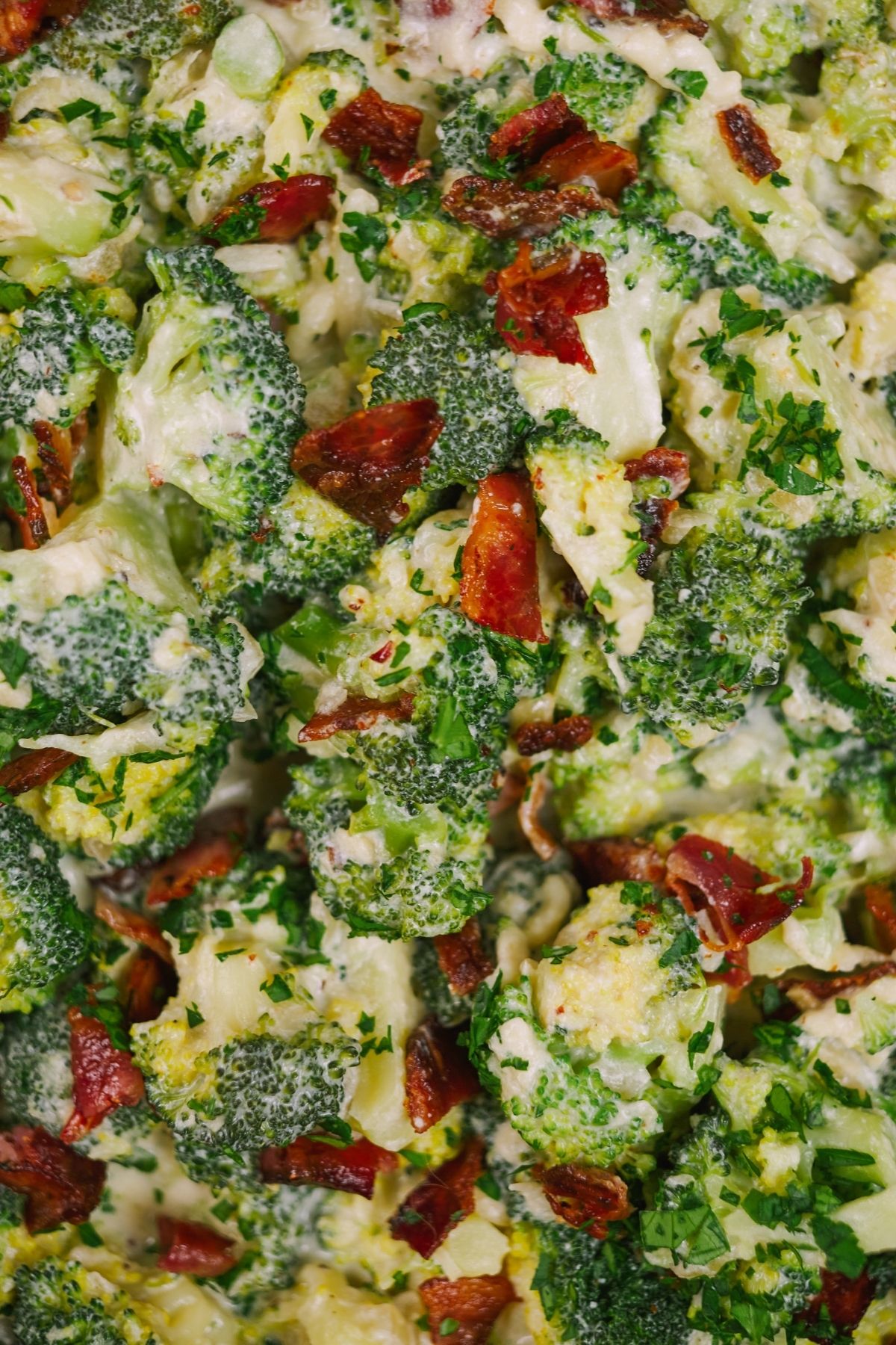 Close up picture of broccoli with cheese and bacon