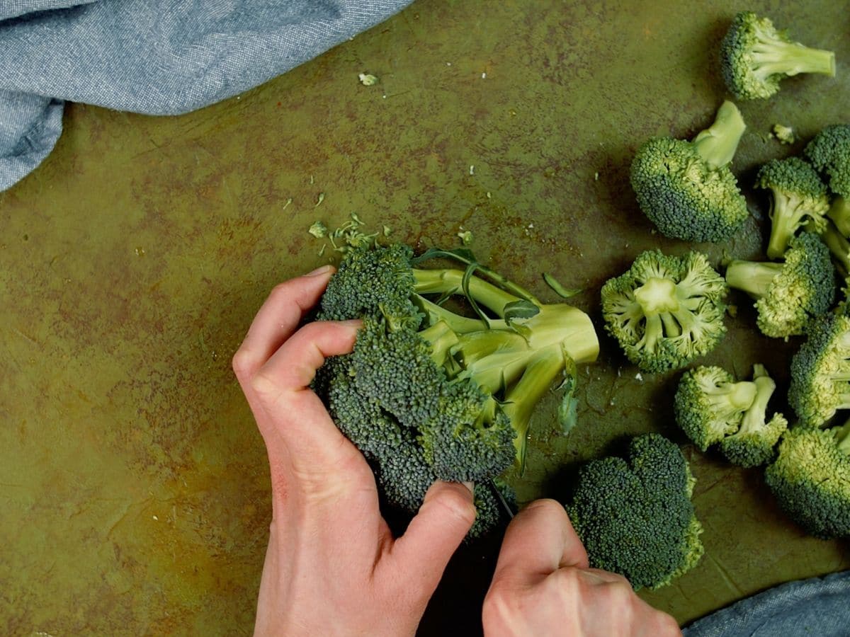 Hand cutting head of broccoli on green table