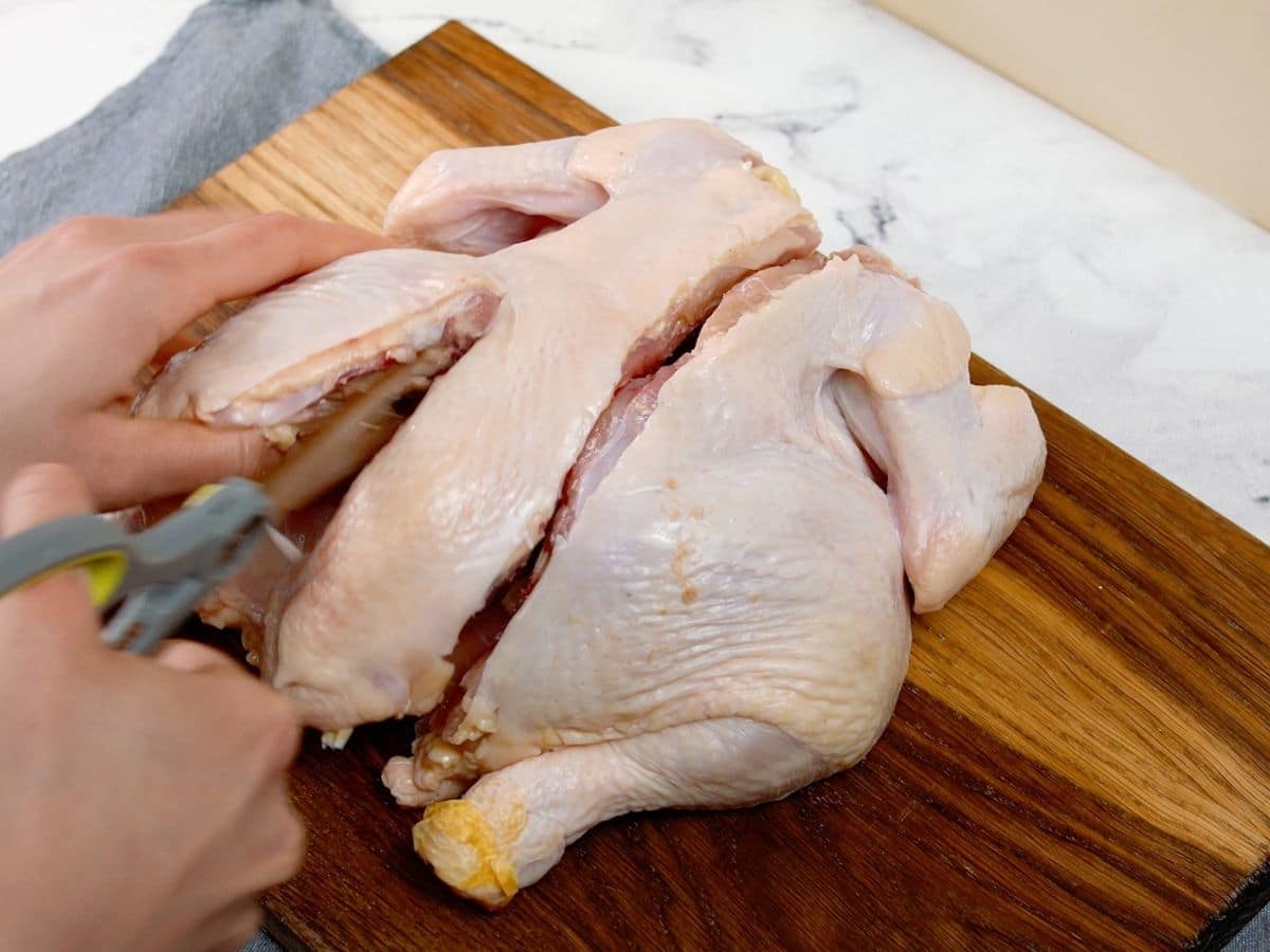 Hands with scissors cutting alongside raw chicken backbone