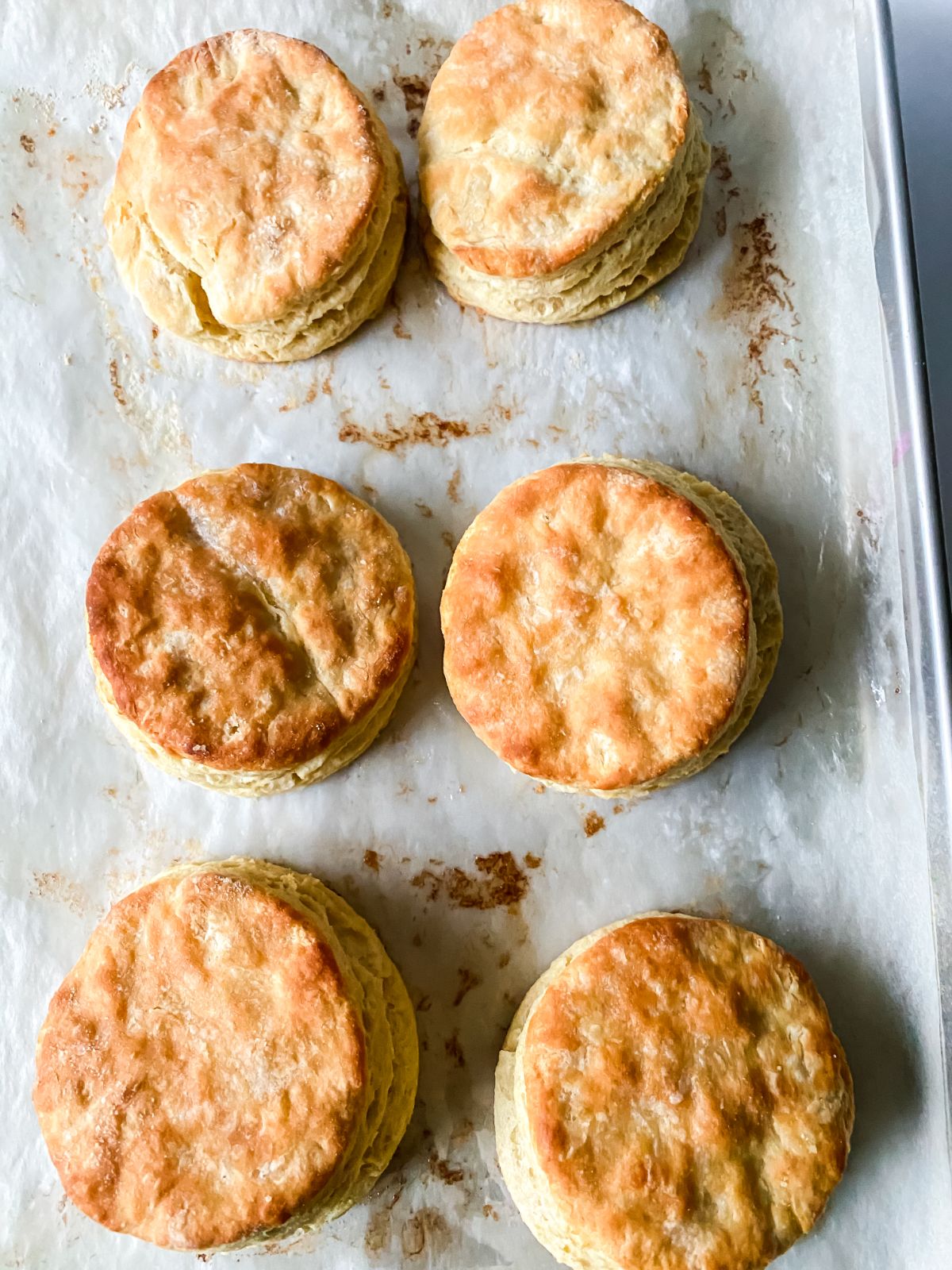 six biscuits on parchment lined baking sheet