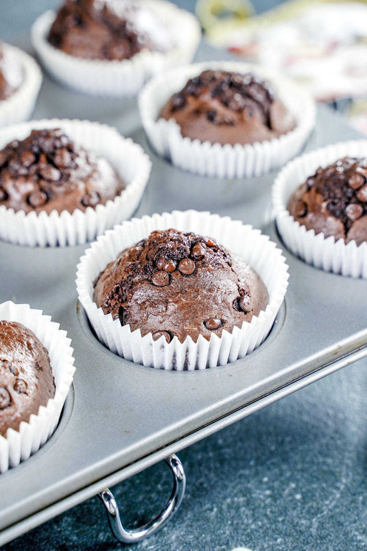muffin tin filled with cooked chocolate muffins in white liners