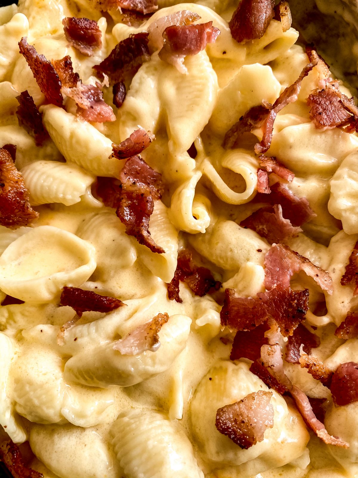 close up image of bacon macaroni and cheese