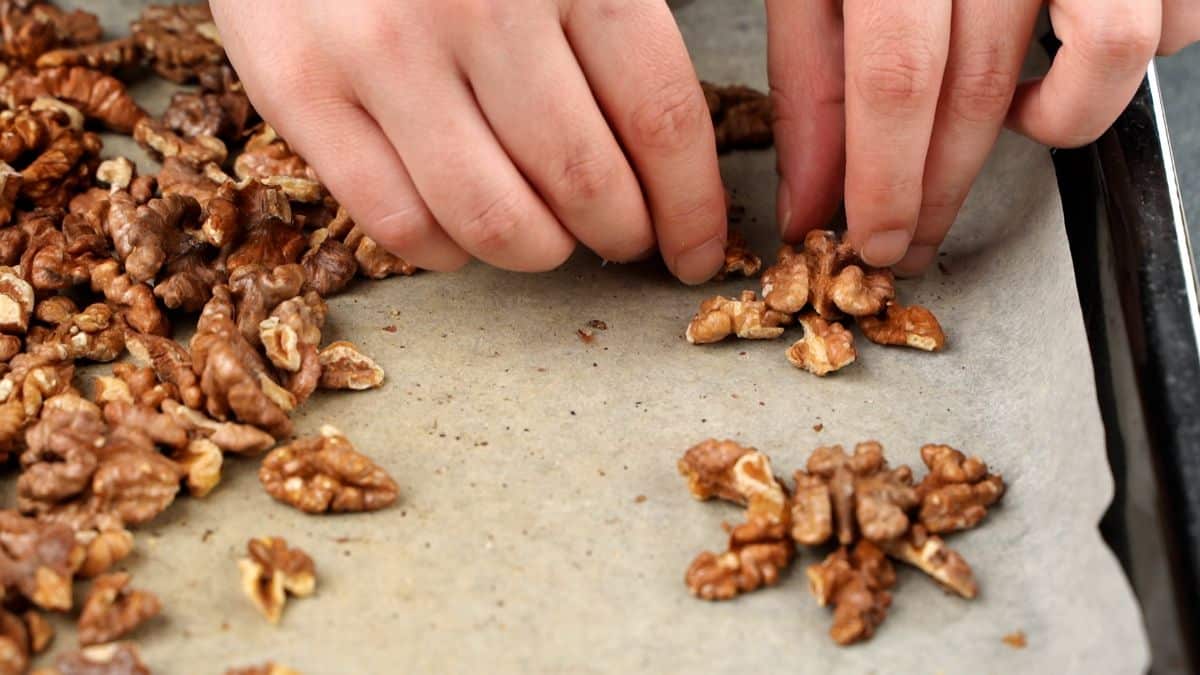 walnuts being formed into turtle shapes on parchmentp aper