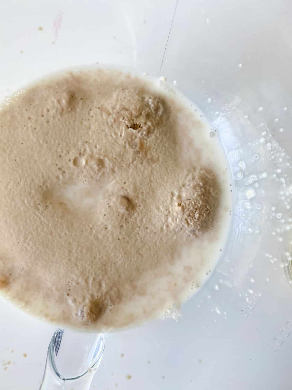 yeast and milk in bowl