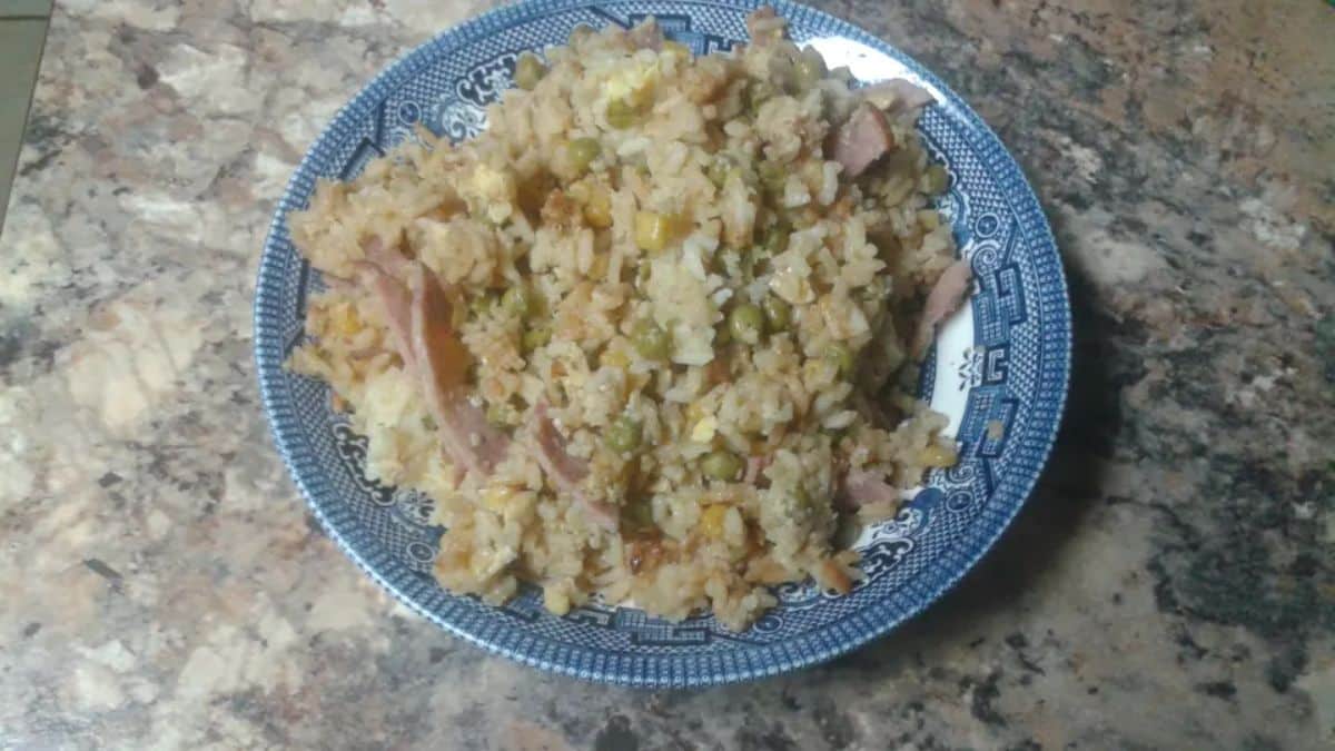 Rice Cooker Fried Rice on a blue plate.
