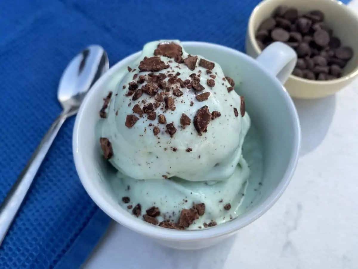 High Protein Keto Mint Chocolate Chip Ice Cream in a white cup sprinket by chocolate chips.